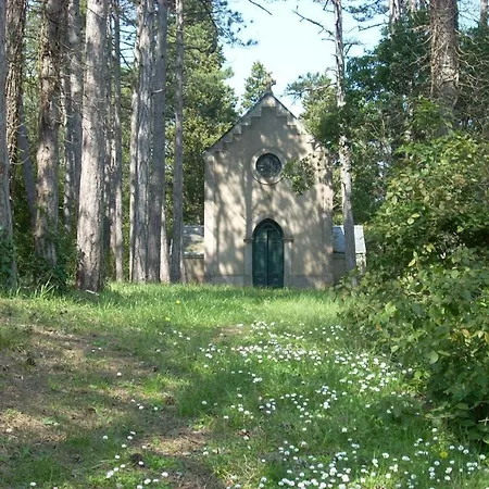 Tatil Evi Chateau St-auriol - La Bergerie *
