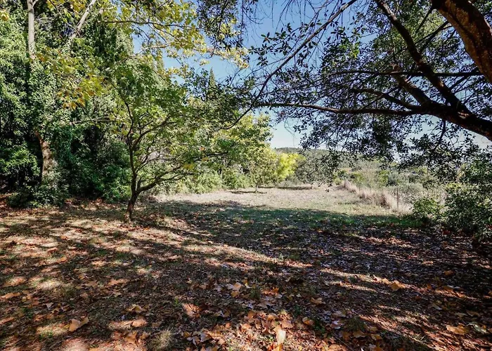 Chateau St-auriol - La Bergerie Feriehus Lagrasse